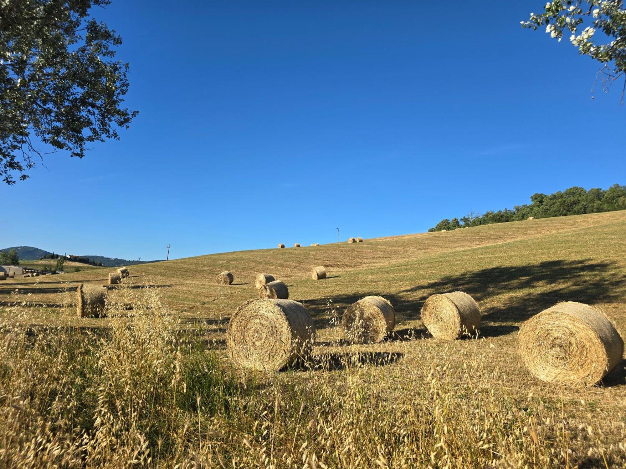 Finestra Della Val D'Orcia Apartment Contignano Exterior photo